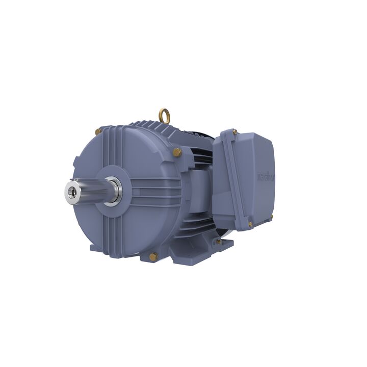 Cast Iron Motor, 7.50 HP, 3 Ph, 50 Hz, 380 V, 1500 RPM, 132S Frame, TEFC