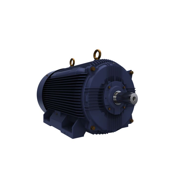 Cast Iron Motor, 270 HP, 3 Ph, 50 Hz, 400 V, 1000 RPM, 355M Frame, TEFC