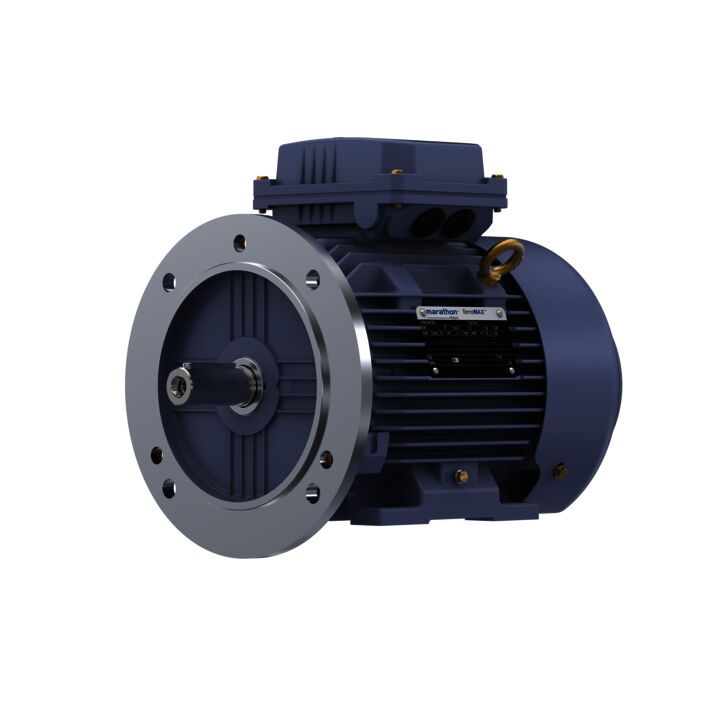 Cast Iron Motor, 2 HP, 3 Ph, 50 Hz, 380 V, 3000 RPM, 90S Frame, TEFC