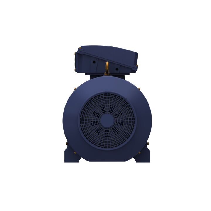 Cast Iron Motor, 270 HP, 3 Ph, 50 Hz, 400 V, 1000 RPM, 355M Frame, TEFC