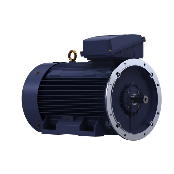 Cast Iron Motor, 425 HP, 3 Ph, 50 Hz, 400 V, 1500 RPM, 355L Frame, TEFC