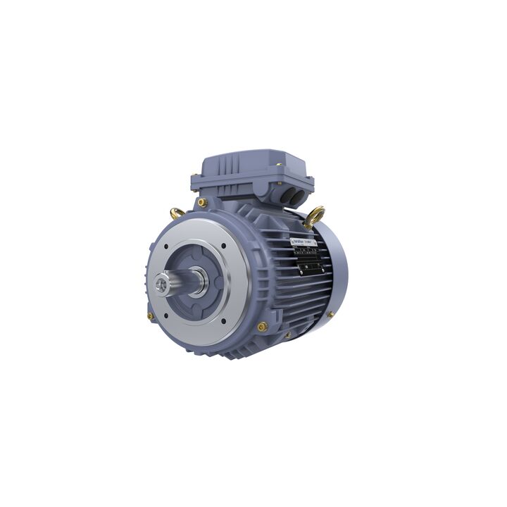 Cast Iron Motor, 1.50 HP, 3 Ph, 50 Hz, 380 V, 1500 RPM, 90S Frame, TEFC