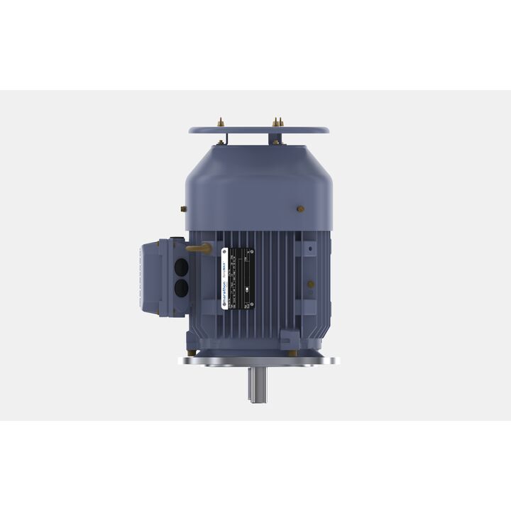 Cast Iron Motor, 1.50 HP, 3 Ph, 50 Hz, 380 V, 1500 RPM, 90S Frame, TEFC
