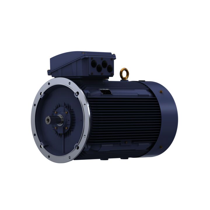 Cast Iron Motor, 425 HP, 3 Ph, 50 Hz, 400 V, 1500 RPM, 355L Frame, TEFC