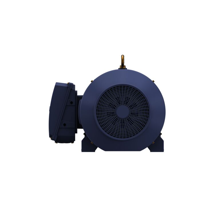 Cast Iron Motor, 270 HP, 3 Ph, 50 Hz, 400 V, 1000 RPM, 355M Frame, TEFC