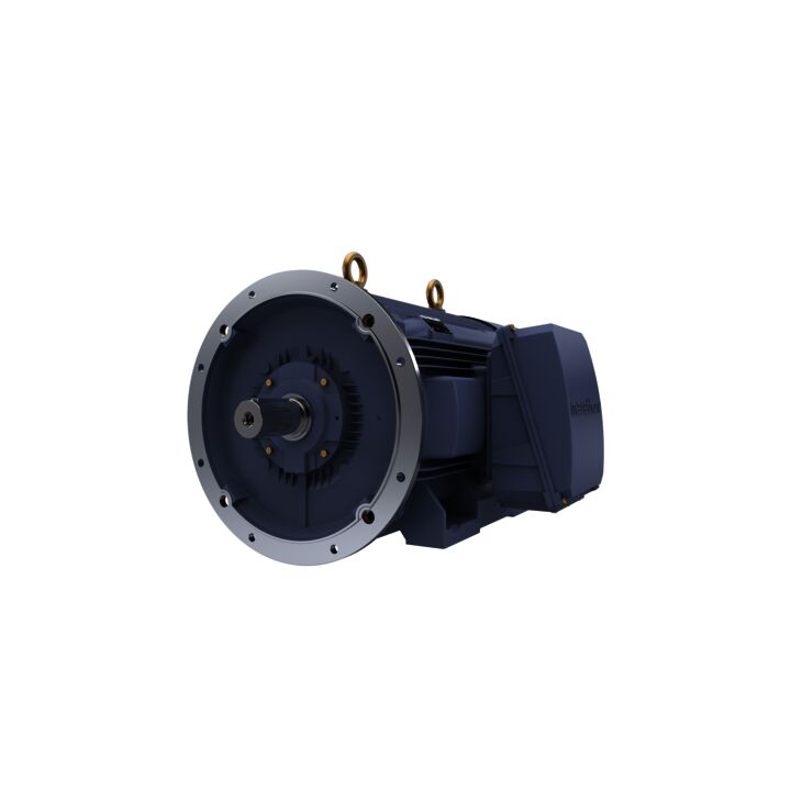 Cast Iron Motor, 425 HP, 3 Ph, 50 Hz, 400 V, 1500 RPM, 355L Frame, TEFC