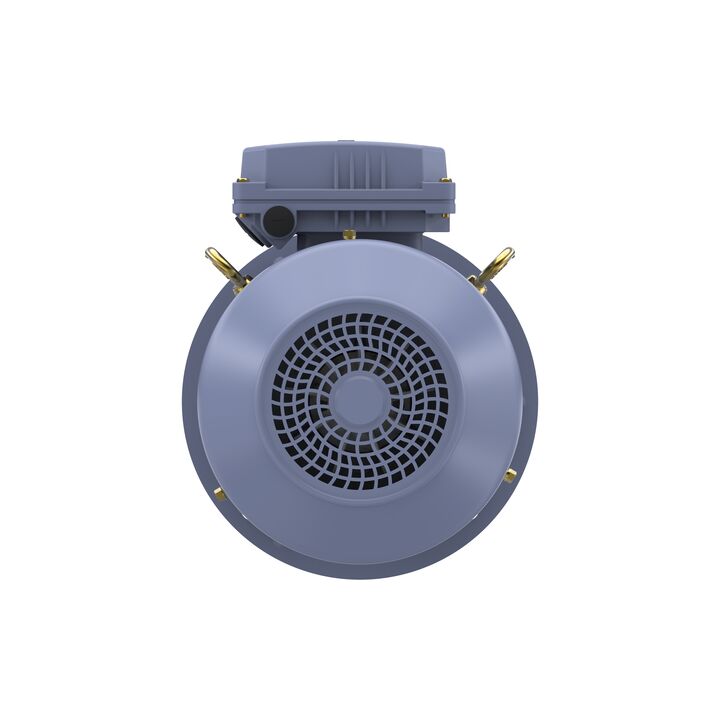 Cast Iron Motor, 4 HP, 3 Ph, 50 Hz, 380 V, 3000 RPM, 100L Frame, TEFC