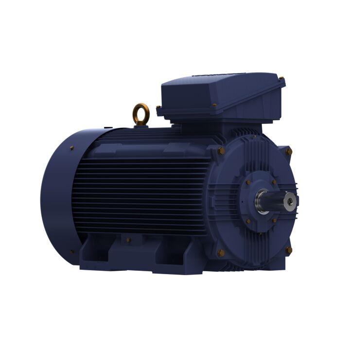 Cast Iron Motor, 425 HP, 3 Ph, 50 Hz, 380 V, 1500 RPM, 355L Frame, TEFC