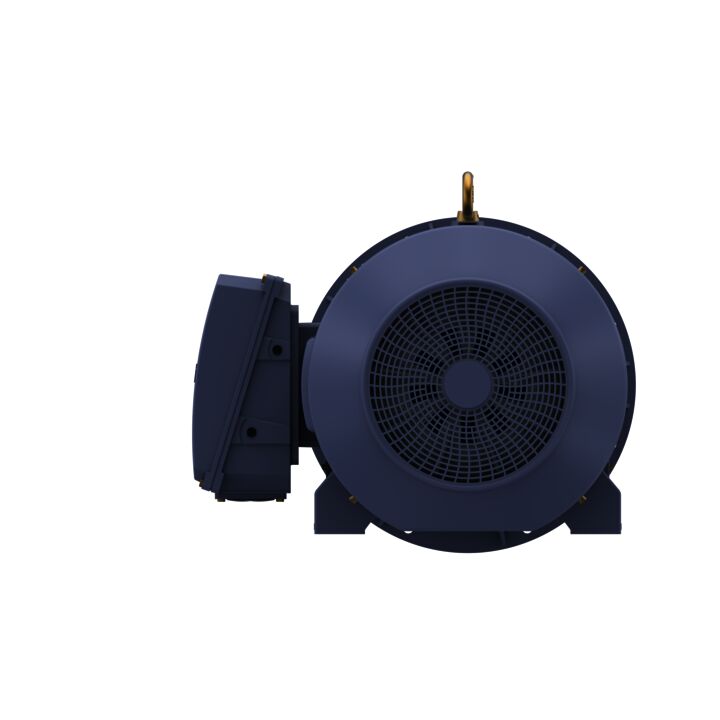 Cast Iron Motor, 425 HP, 3 Ph, 50 Hz, 400 V, 1500 RPM, 355L Frame, TEFC