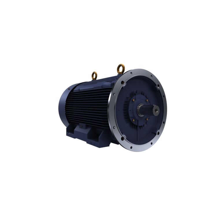 Cast Iron Motor, 425 HP, 3 Ph, 50 Hz, 400 V, 1500 RPM, 355L Frame, TEFC