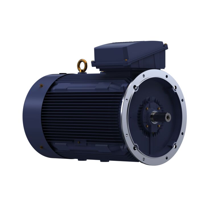 Cast Iron Motor, 425 HP, 3 Ph, 50 Hz, 400 V, 1500 RPM, 355L Frame, TEFC