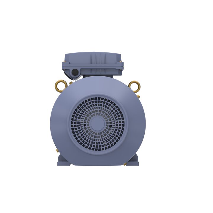 Cast Iron Motor, 7.50 HP, 3 Ph, 50 Hz, 380 V, 1000 RPM, 132M Frame, TEFC