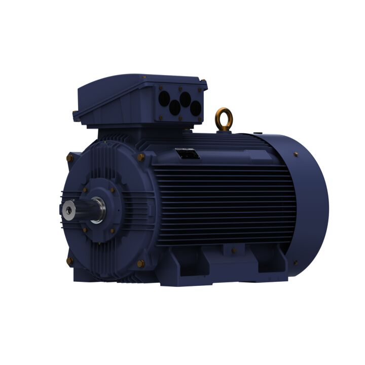 Cast Iron Motor, 270 HP, 3 Ph, 50 Hz, 400 V, 1000 RPM, 355M Frame, TEFC