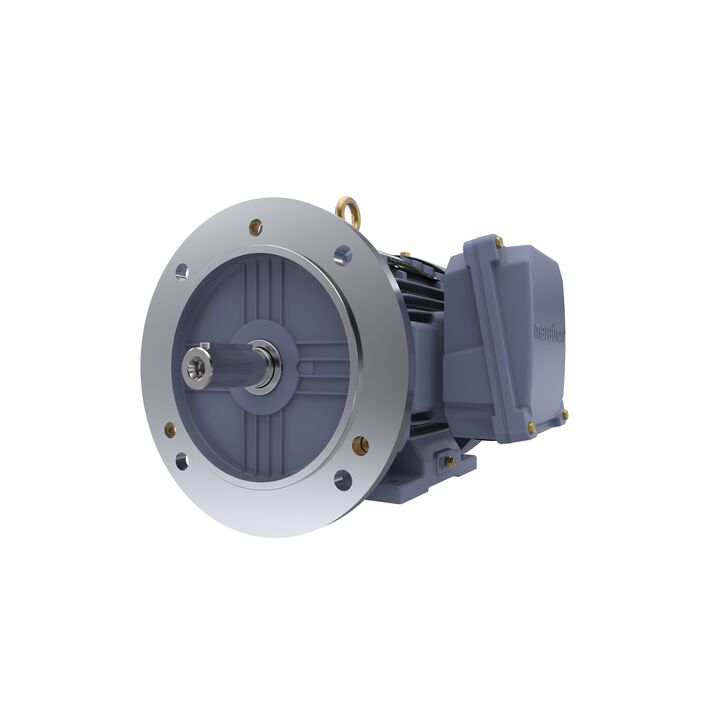 Cast Iron Motor, 1.50 HP, 3 Ph, 50 Hz, 380 V, 1500 RPM, 90S Frame, TEFC