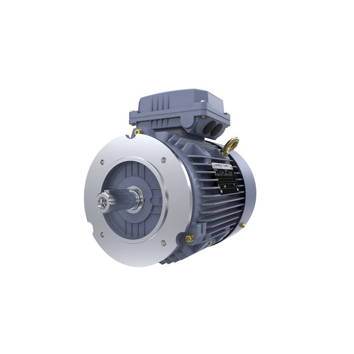 Cast Iron Motor, 1.50 HP, 3 Ph, 50 Hz, 380 V, 1500 RPM, 90S Frame, TEFC