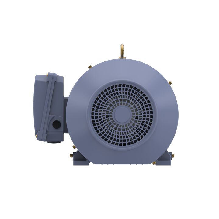 Cast Iron Motor, 7.50 HP, 3 Ph, 50 Hz, 400 V, 1500 RPM, 132S Frame, TEFC