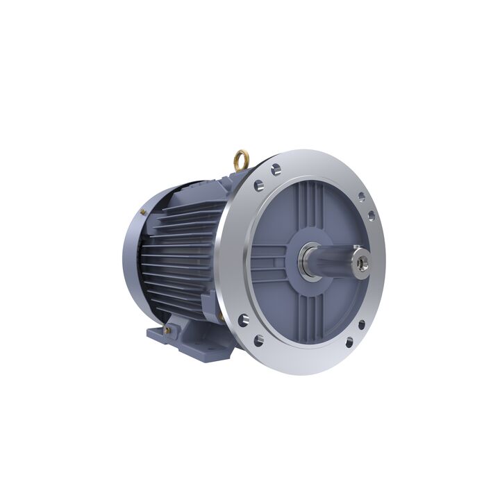Cast Iron Motor, 7.50 HP, 3 Ph, 50 Hz, 380 V, 1500 RPM, 132S Frame, TEFC