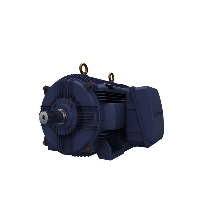 Cast Iron Motor, 270 HP, 3 Ph, 50 Hz, 400 V, 1000 RPM, 355M Frame, TEFC