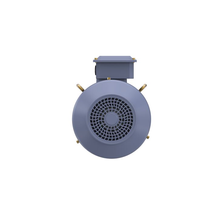 Cast Iron Motor, 3 HP, 3 Ph, 50 Hz, 400 V, 3000 RPM, 90L Frame, TEFC
