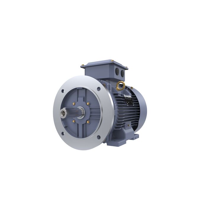 Cast Iron Motor, 15 HP, 3 Ph, 50 Hz, 400 V, 1500 RPM, 160M Frame, TEFC