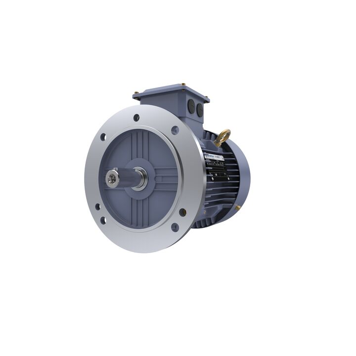 Cast Iron Motor, 1.50 HP, 3 Ph, 50 Hz, 400 V, 1000 RPM, 90L Frame, TEFC