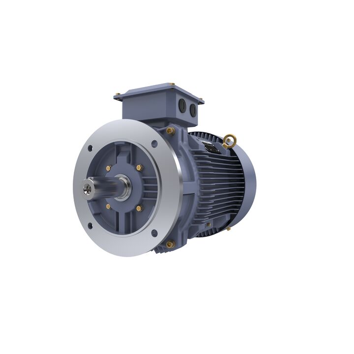 Cast Iron Motor, 15 HP, 3 Ph, 50 Hz, 400 V, 750 RPM, 180L Frame, TEFC