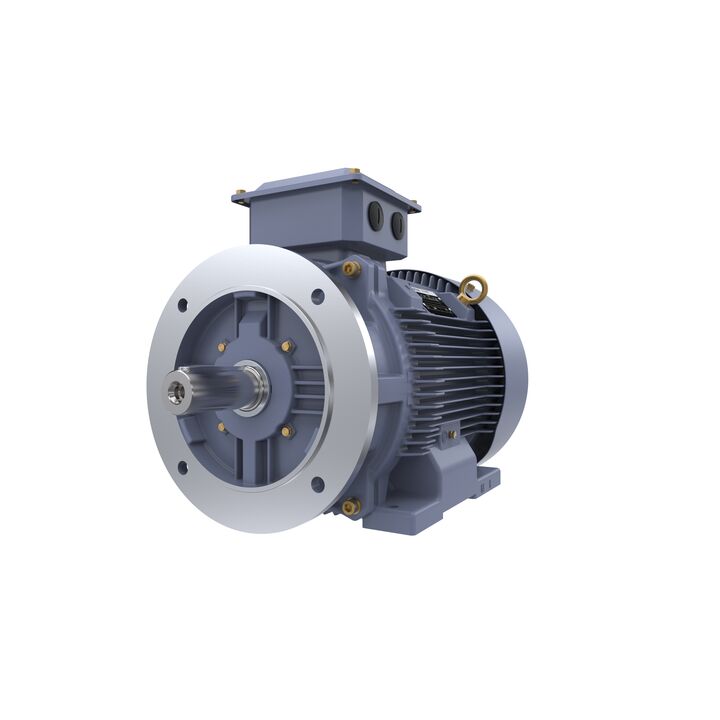 Cast Iron Motor, 15 HP, 3 Ph, 50 Hz, 400 V, 750 RPM, 180L Frame, TEFC