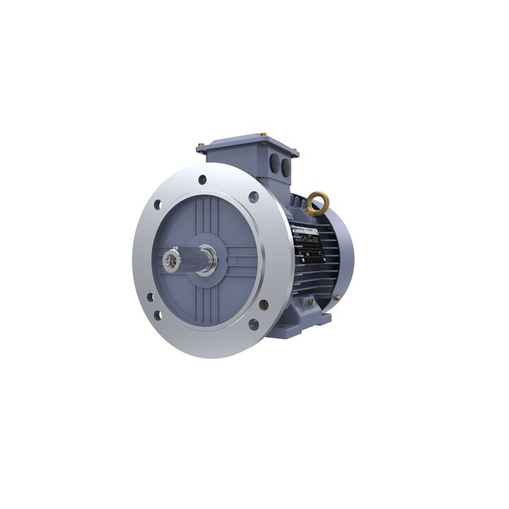 Cast Iron Motor, 1.50 HP, 3 Ph, 50 Hz, 400 V, 1000 RPM, 90L Frame, TEFC