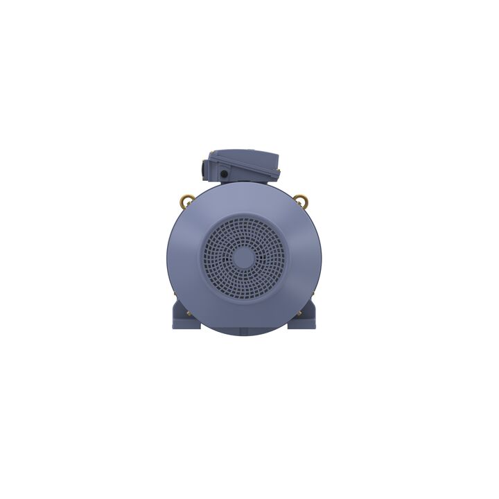 Cast Iron Motor, 75 HP, 3 Ph, 50 Hz, 415 V, 3000 RPM, 250M Frame, TEFC