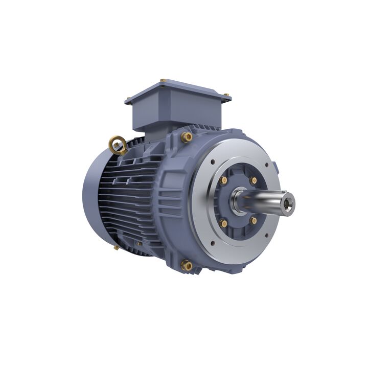 Cast Iron Motor, 15 HP, 3 Ph, 50 Hz, 400 V, 1500 RPM, 160M Frame, TEFC
