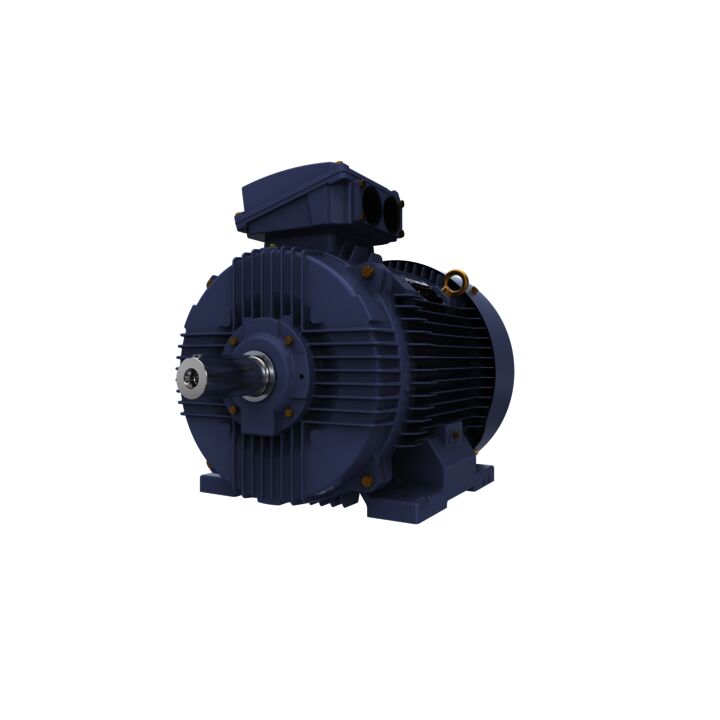 Cast Iron Motor, 75 HP, 3 Ph, 50 Hz, 400 V, 3000 RPM, 250M Frame, TEFC