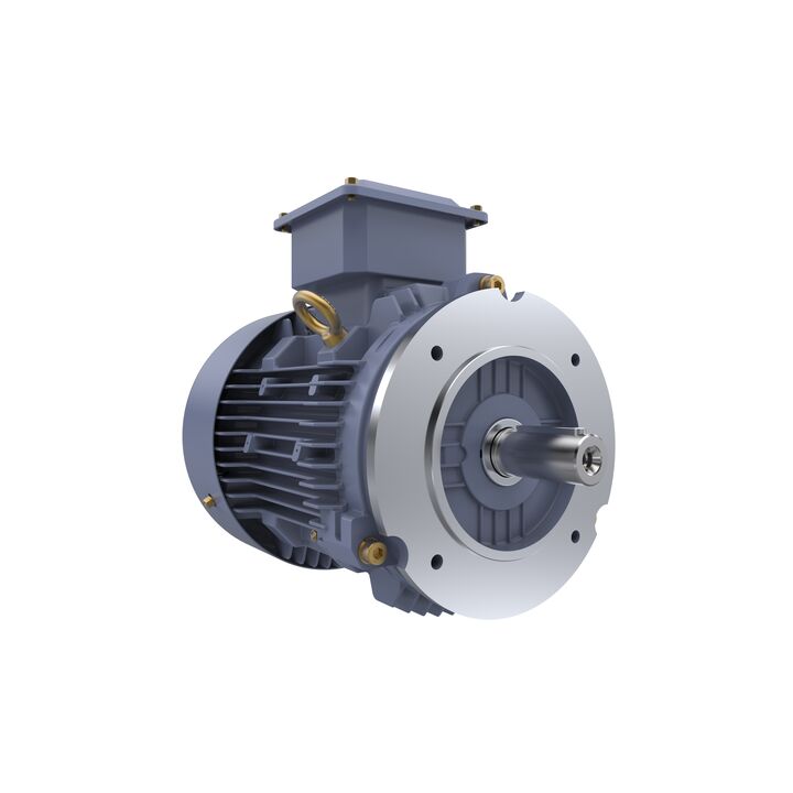 Cast Iron Motor, 1.50 HP, 3 Ph, 50 Hz, 400 V, 1000 RPM, 90L Frame, TEFC