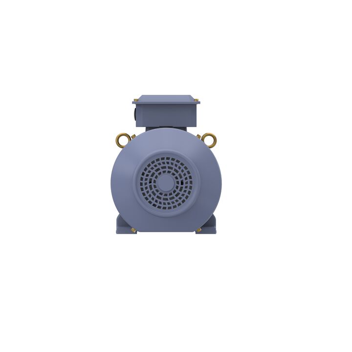 Cast Iron Motor, 15 HP, 3 Ph, 50 Hz, 400 V, 1500 RPM, 160M Frame, TEFC