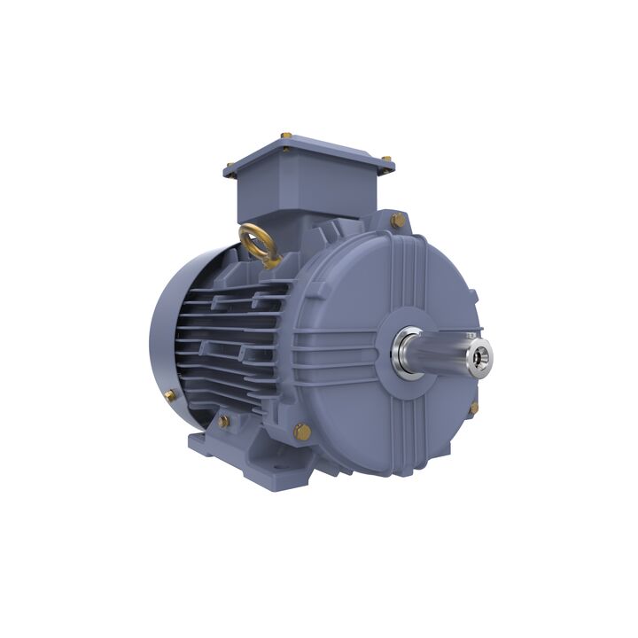 Cast Iron Motor, 1.50 HP, 3 Ph, 50 Hz, 400 V, 1500 RPM, 90S Frame, TEFC