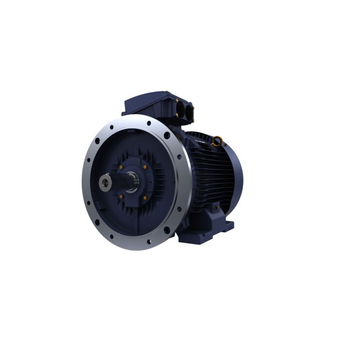 Cast Iron Motor, 60 HP, 3 Ph, 50 Hz, 380/660 V, 750 RPM, 280M Frame, TEFC