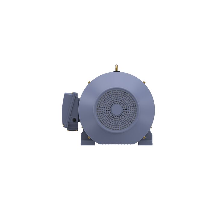 Cast Iron Motor, 75 HP, 3 Ph, 50 Hz, 415 V, 3000 RPM, 250M Frame, TEFC