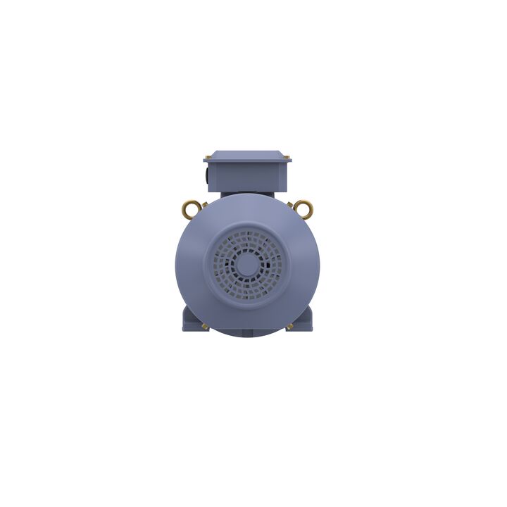 Cast Iron Motor, 15 HP, 3 Ph, 50 Hz, 400 V, 1500 RPM, 160M Frame, TEFC