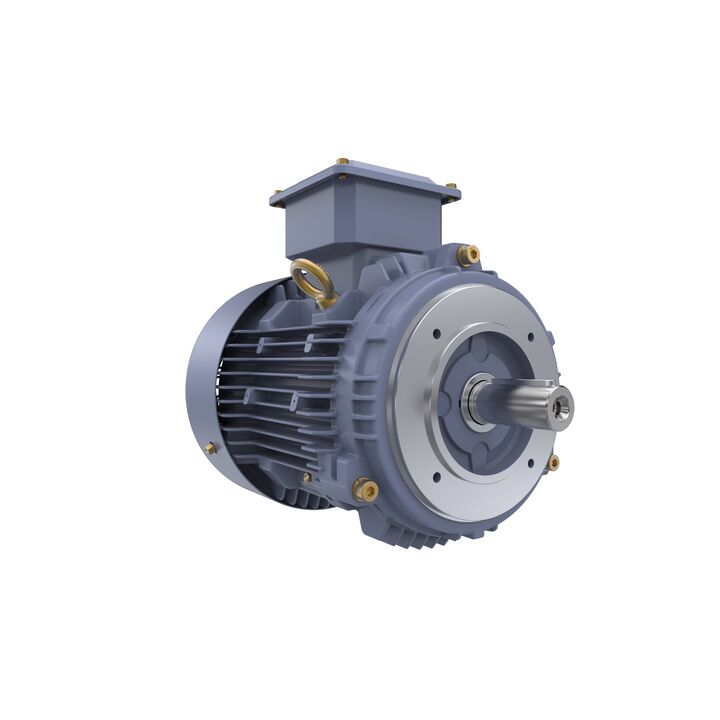 Cast Iron Motor, 3 HP, 3 Ph, 50 Hz, 400 V, 3000 RPM, 90L Frame, TEFC