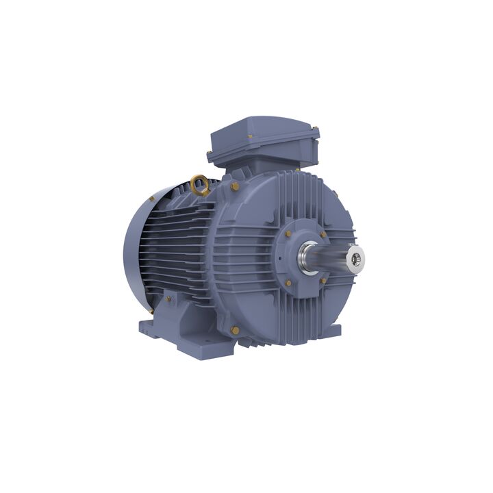 Cast Iron Motor, 75 HP, 3 Ph, 50 Hz, 380/660 V, 3000 RPM, 250M Frame, TEFC