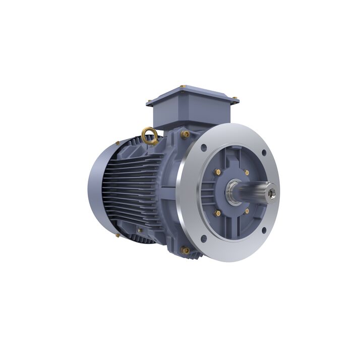 Cast Iron Motor, 15 HP, 3 Ph, 50 Hz, 400 V, 750 RPM, 180L Frame, TEFC