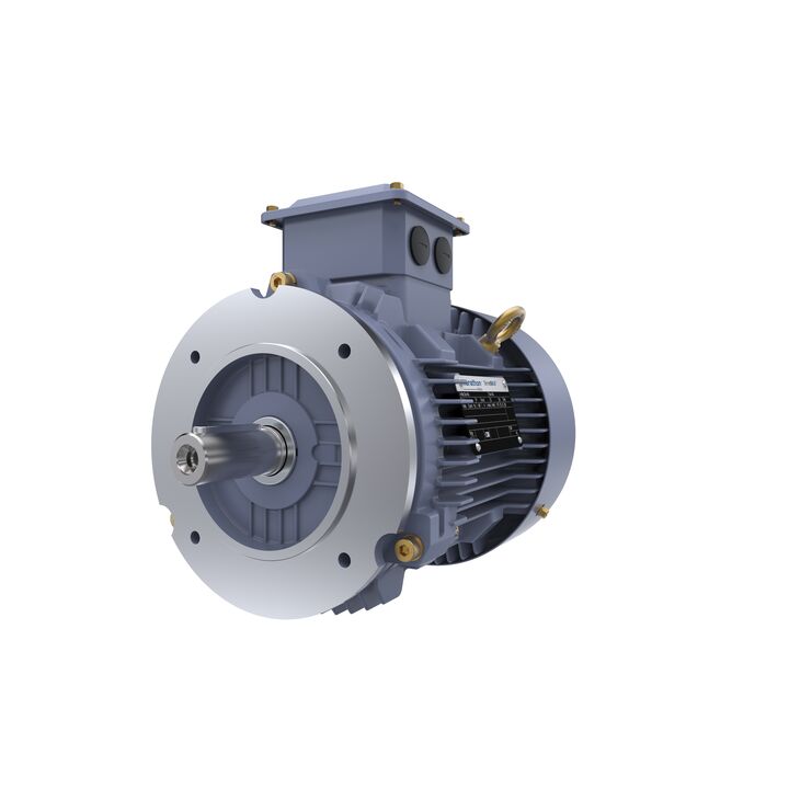 Cast Iron Motor, 1.50 HP, 3 Ph, 50 Hz, 220/380 V, 1000 RPM, 90L Frame, TEFC
