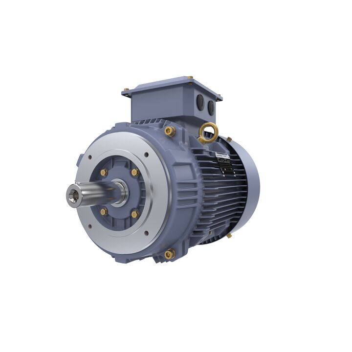 Cast Iron Motor, 15 HP, 3 Ph, 50 Hz, 400 V, 1500 RPM, 160M Frame, TEFC