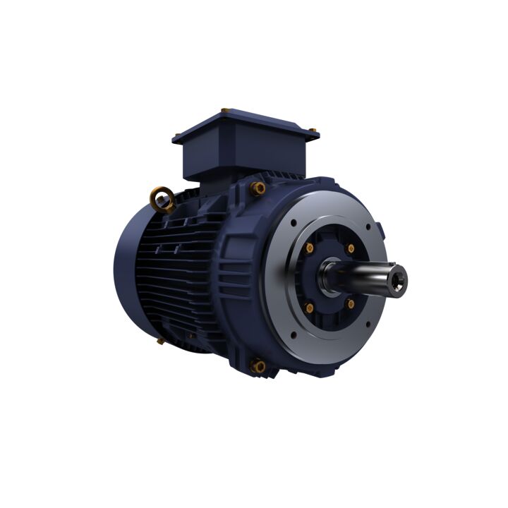 Cast Iron Motor, 25 HP, 3 Ph, 50 Hz, 380/660 V, 3000 RPM, 160L Frame, TEFC