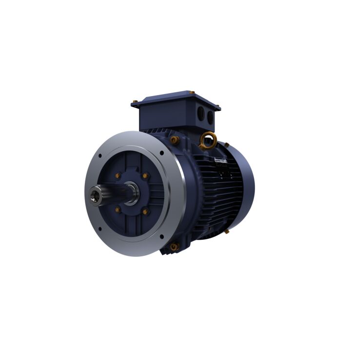 Cast Iron Motor, 25 HP, 3 Ph, 50 Hz, 400 V, 3000 RPM, 160L Frame, TEFC