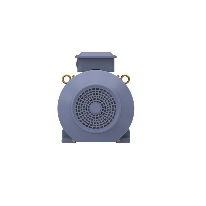 Cast Iron Motor, 15 HP, 3 Ph, 50 Hz, 400 V, 750 RPM, 180L Frame, TEFC