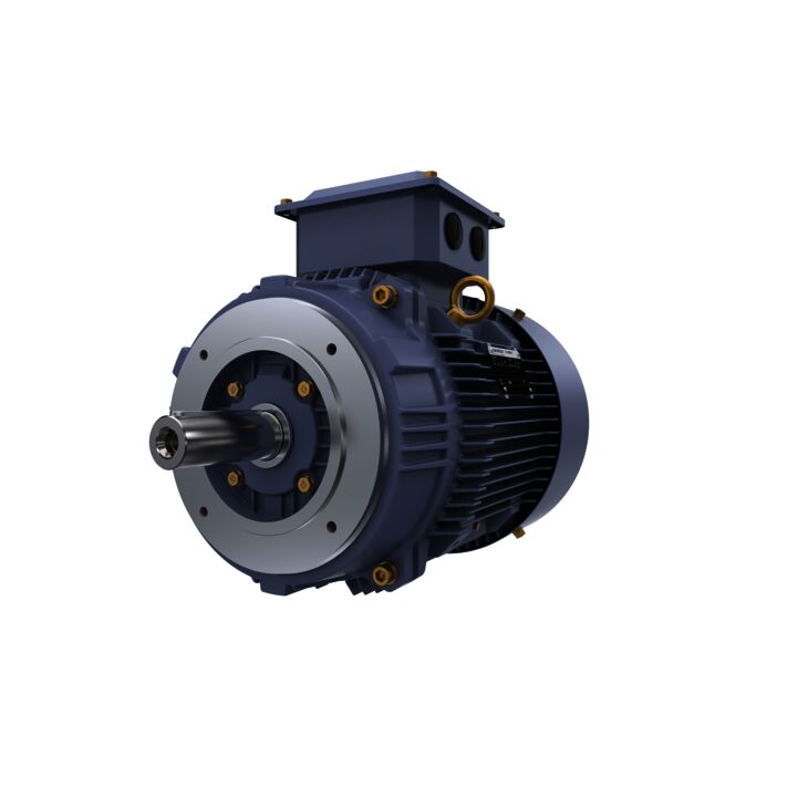 Cast Iron Motor, 25 HP, 3 Ph, 50 Hz, 380/660 V, 3000 RPM, 160L Frame, TEFC