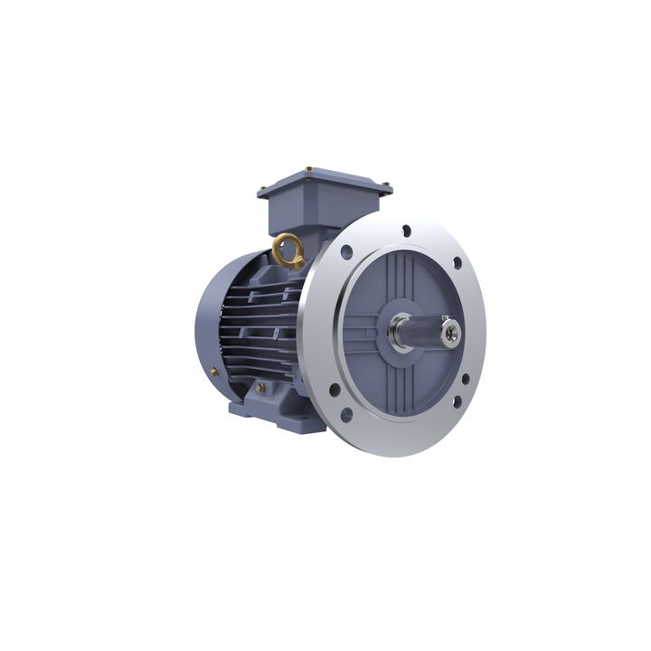 Cast Iron Motor, 1.50 HP, 3 Ph, 50 Hz, 400 V, 1000 RPM, 90L Frame, TEFC
