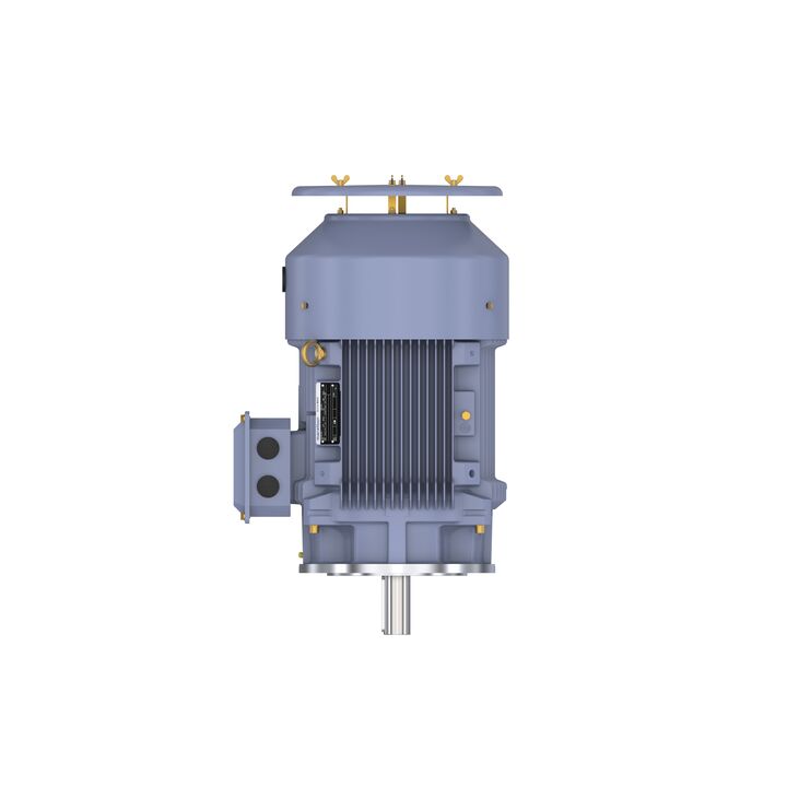 Cast Iron Motor, 15 HP, 3 Ph, 50 Hz, 400 V, 750 RPM, 180L Frame, TEFC