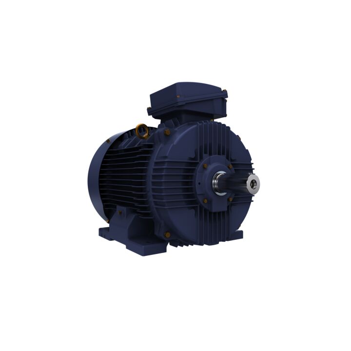 Cast Iron Motor, 60 HP, 3 Ph, 50 Hz, 400 V, 1500 RPM, 225M Frame, TEFC