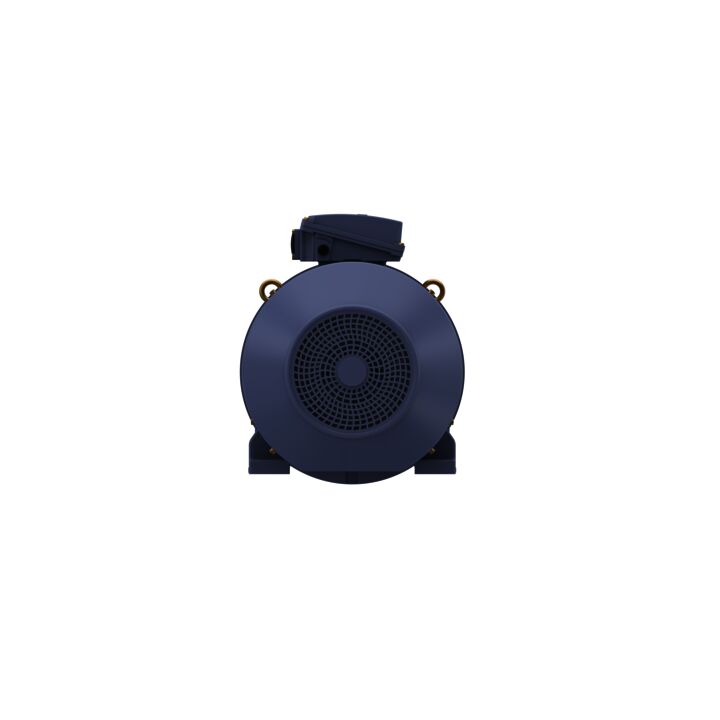 Cast Iron Motor, 60 HP, 3 Ph, 50 Hz, 400 V, 1500 RPM, 225M Frame, TEFC